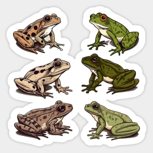 Frogs, Tropical Animal, Love Frogs Sticker